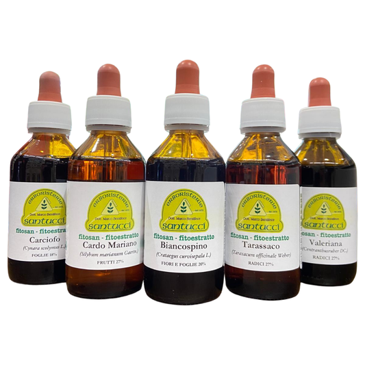 HYDROALCOHOLIC EXTRACTS 100 ML FITOSAN