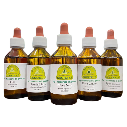 GEMMODERIVATIVES 100 ML FITOSAN