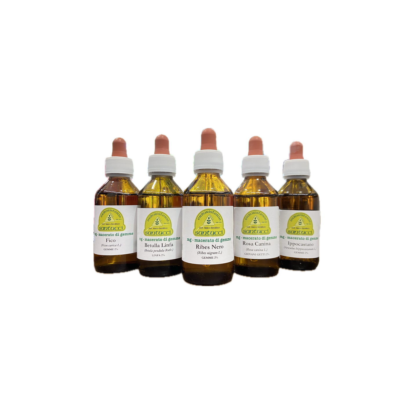 GEMMODERIVATI 100 ML FITOSAN